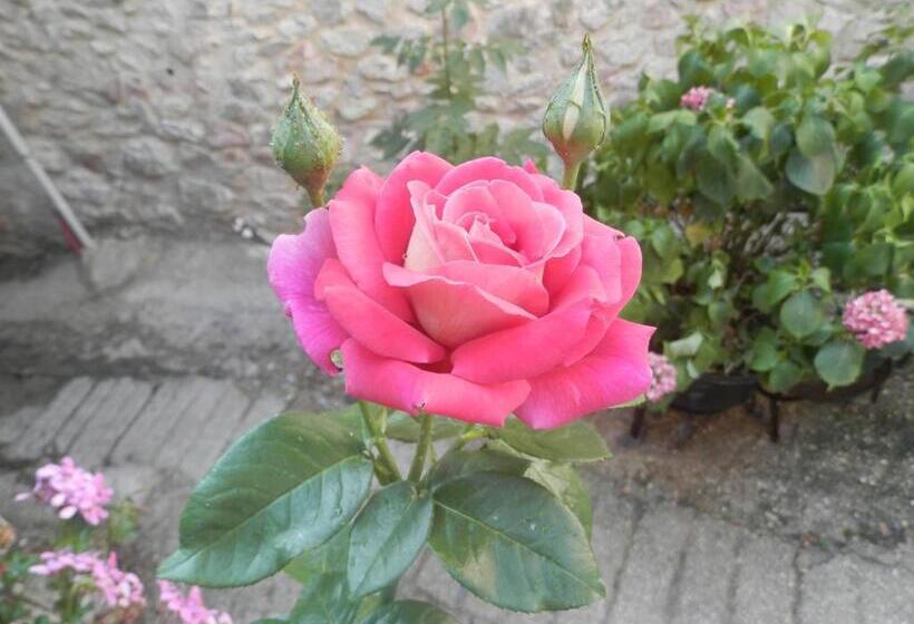 پانسیون Residenza Di Paese Castello Del Poggio