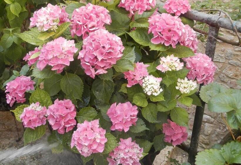 پانسیون Residenza Di Paese Castello Del Poggio