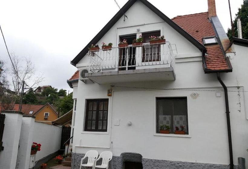 Пансион Valentin Ház