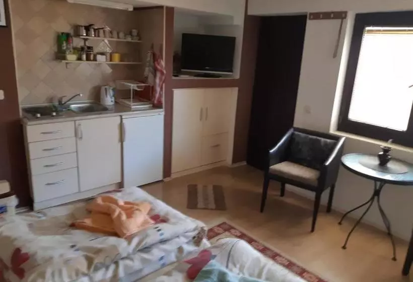 پانسیون Villa Dudinka