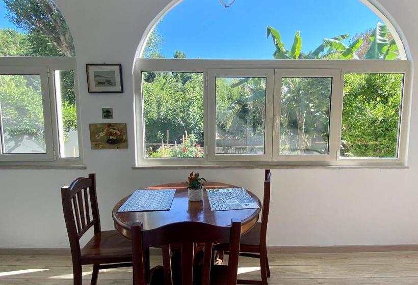 膳宿费 Villa Striano Capri Luxury Rooms