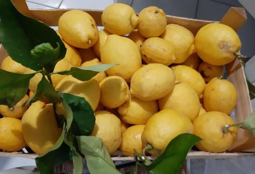 펜션 Villa Striano Capri Luxury Rooms