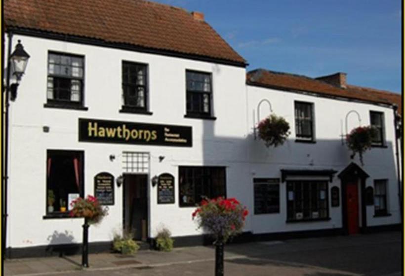 旅馆 Hawthorns