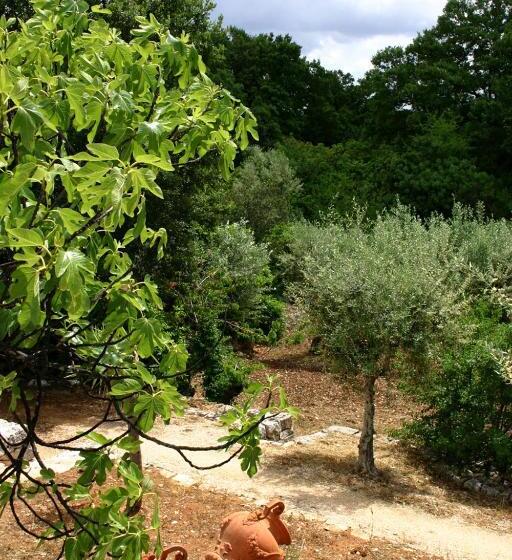 هتل Agriturismo Antonelli Piangevino