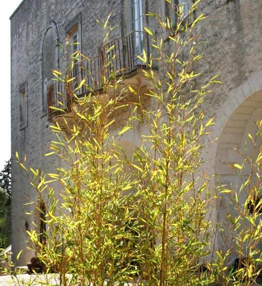 هتل Agriturismo Antonelli Piangevino