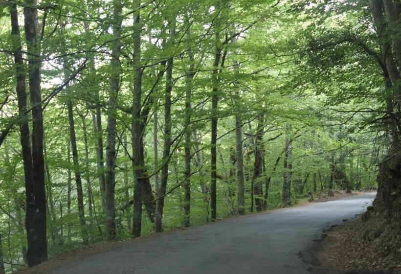 فندق Casa Das Leiras