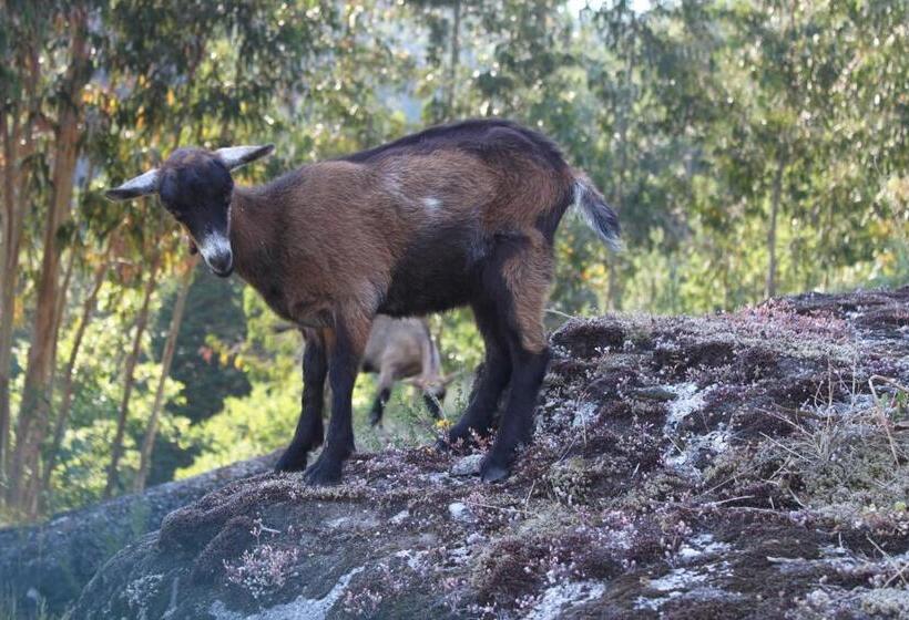 فندق Casa Das Leiras