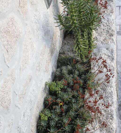 فندق Casa Das Leiras