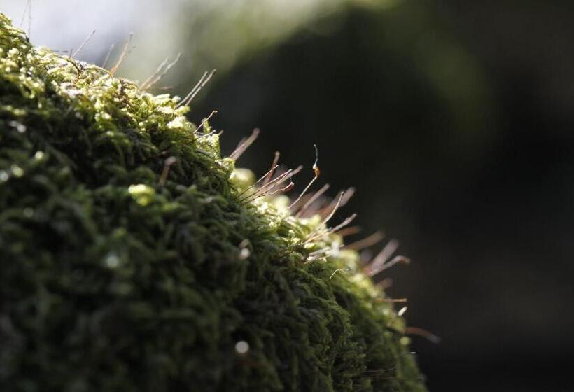 فندق Casa Das Leiras