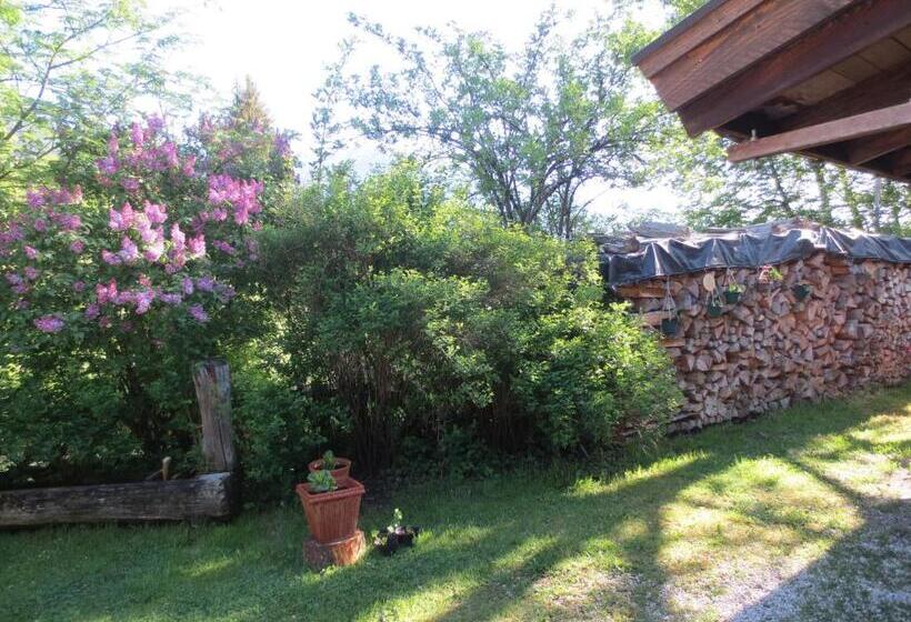 ペンション Gästehaus Scharler