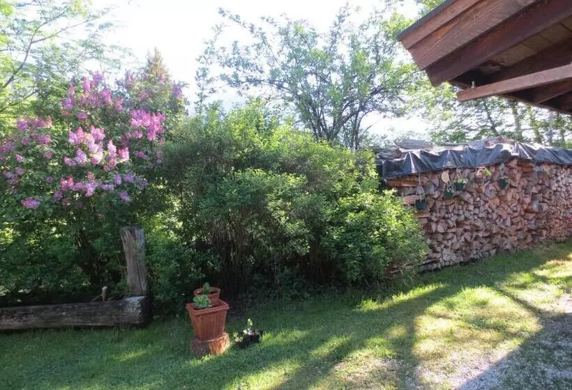 ペンション Gästehaus Scharler