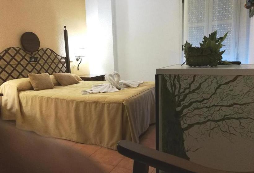 פנסיון Hostal Turnat Béjar