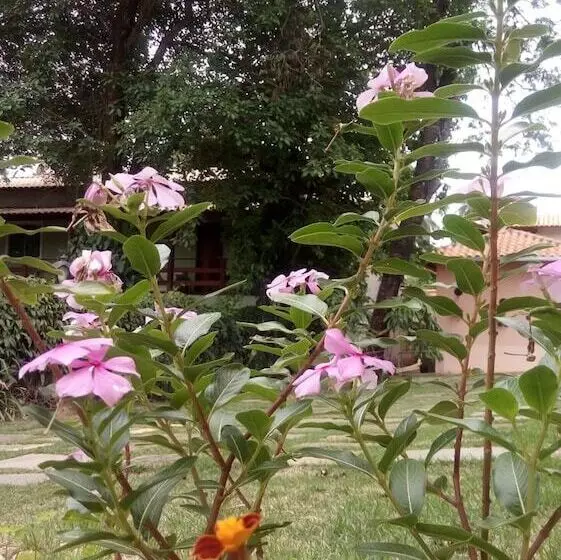 Majatalo Pousada Licuri