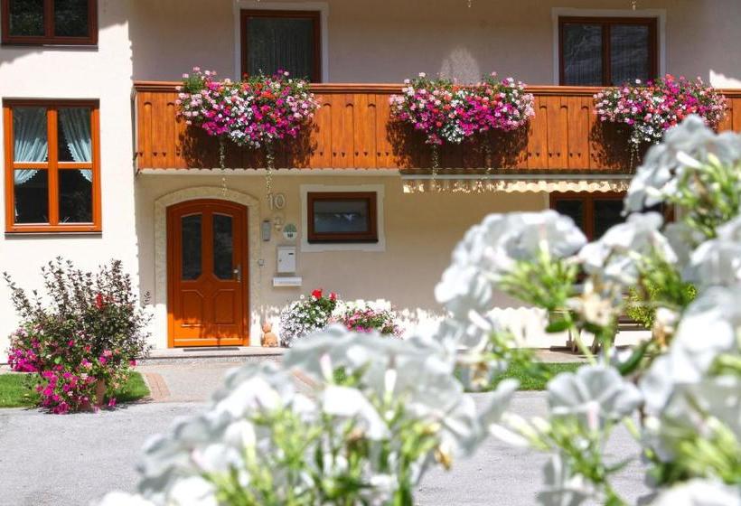 بنسيون Rosspointnerhof