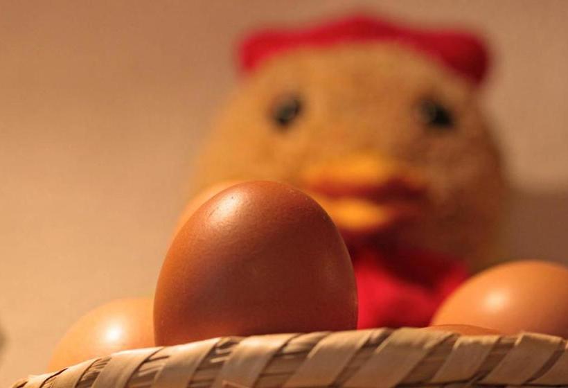 بنسيون Rosspointnerhof