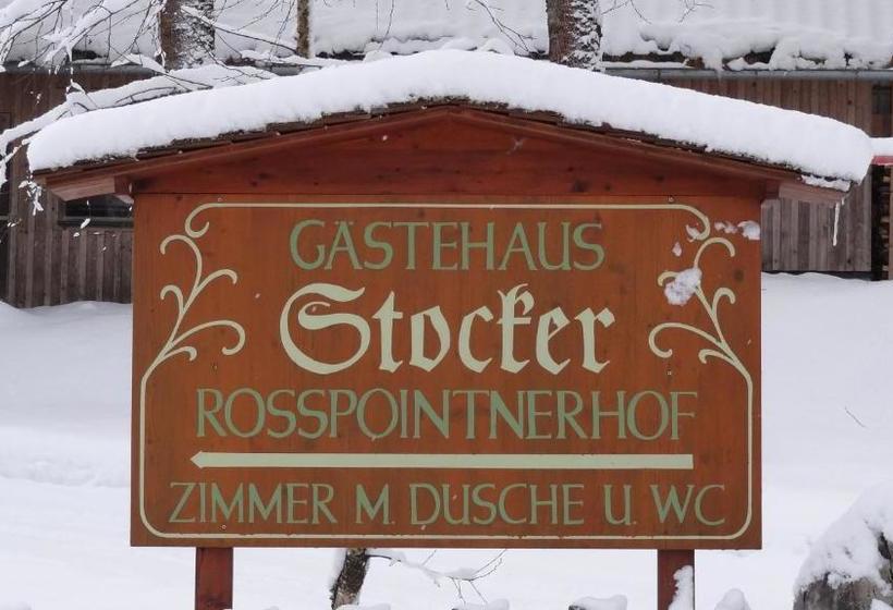 بنسيون Rosspointnerhof