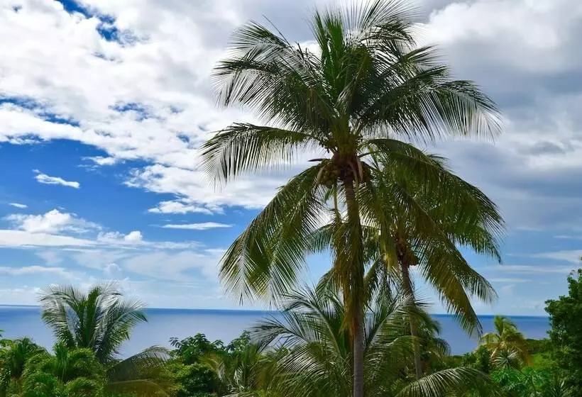 Résidence Paradis Tropical