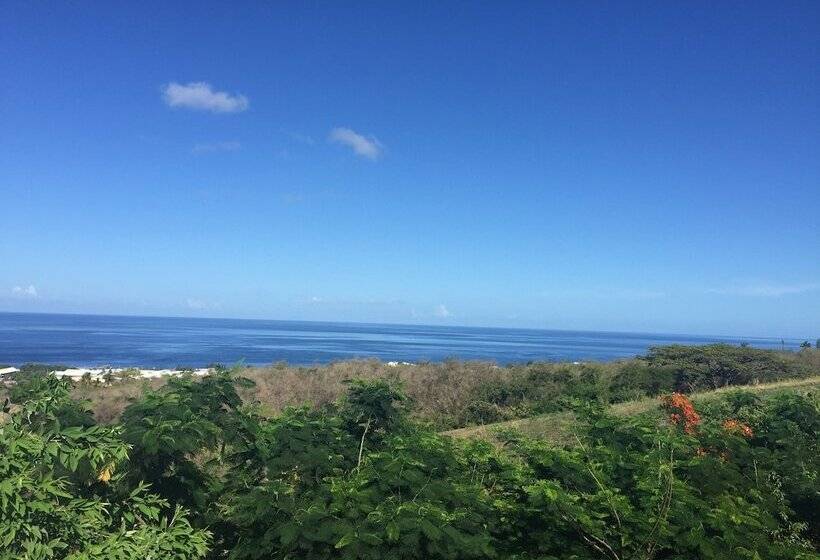 Résidence Paradis Tropical