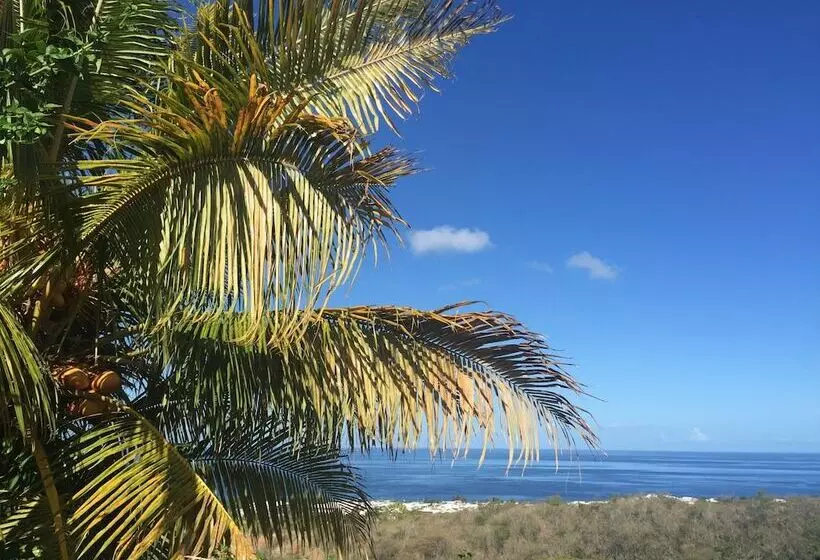 Résidence Paradis Tropical