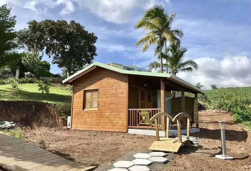 Résidence Paradis Tropical