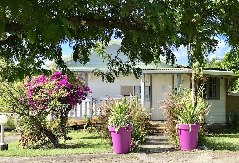 Résidence Paradis Tropical