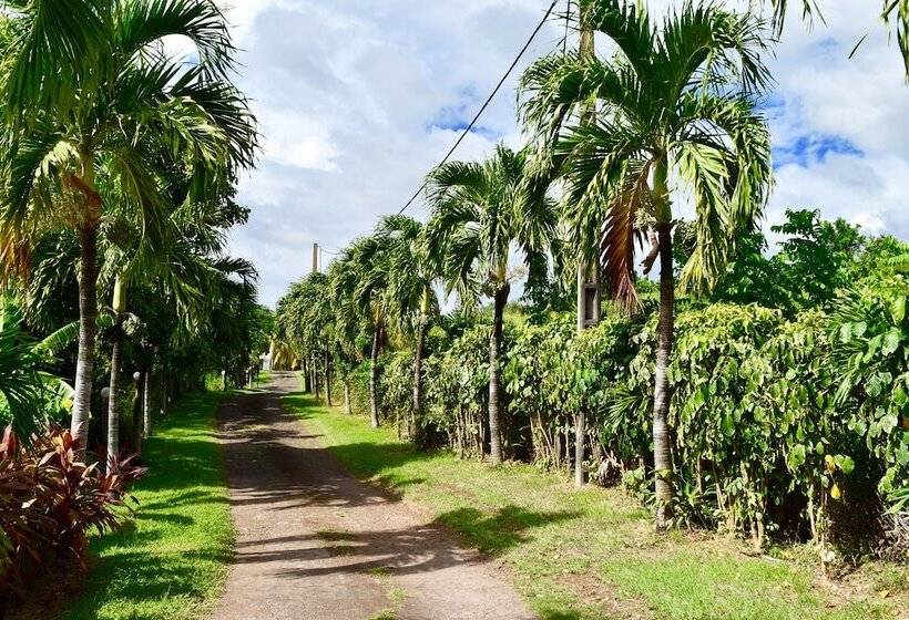 Résidence Paradis Tropical