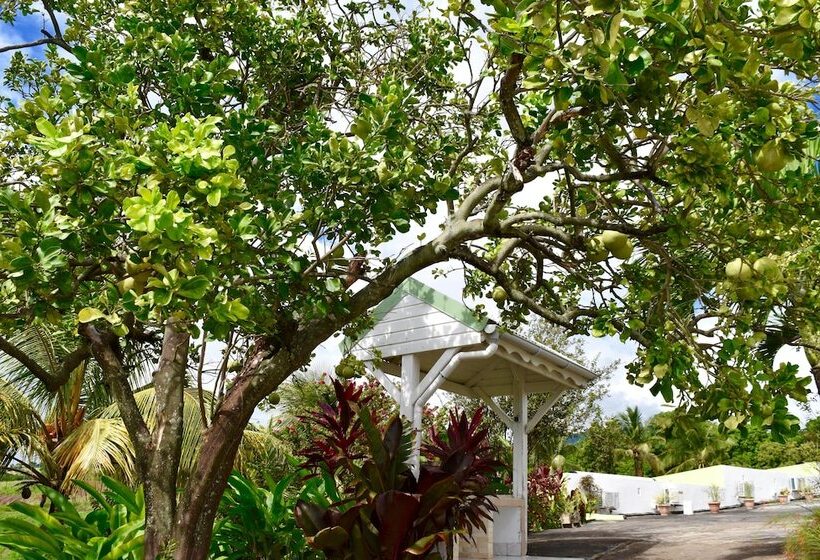 Résidence Paradis Tropical