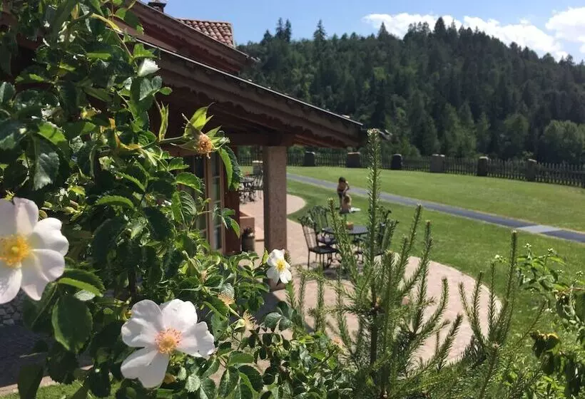 ホテル Agriturismo Alpenvidehof