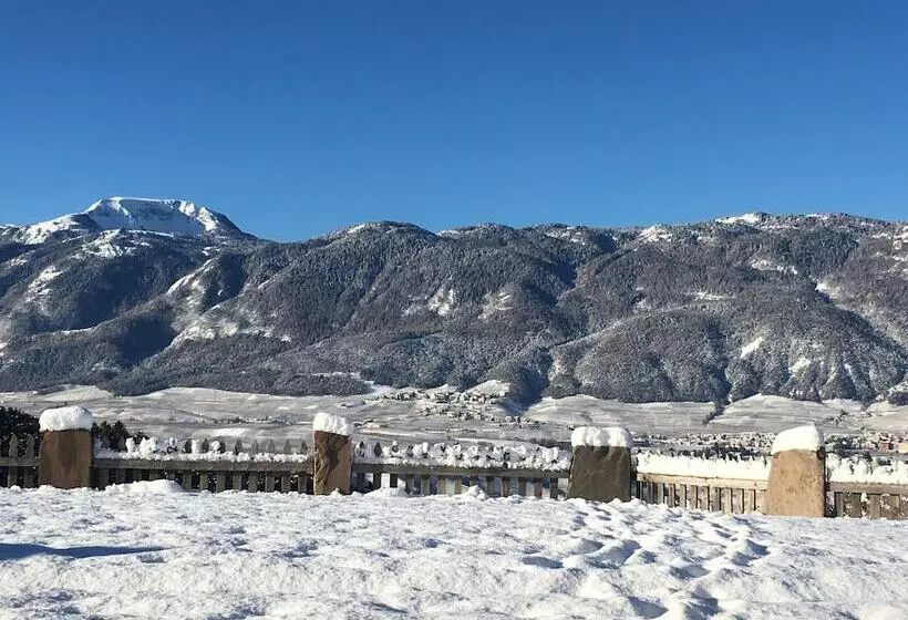 ホテル Agriturismo Alpenvidehof