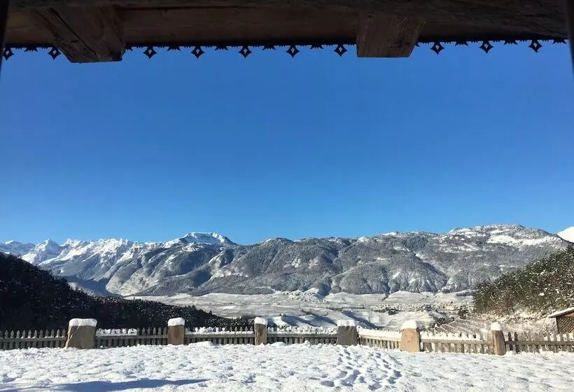 ホテル Agriturismo Alpenvidehof