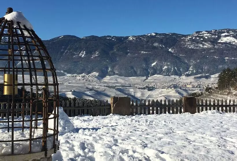 ホテル Agriturismo Alpenvidehof