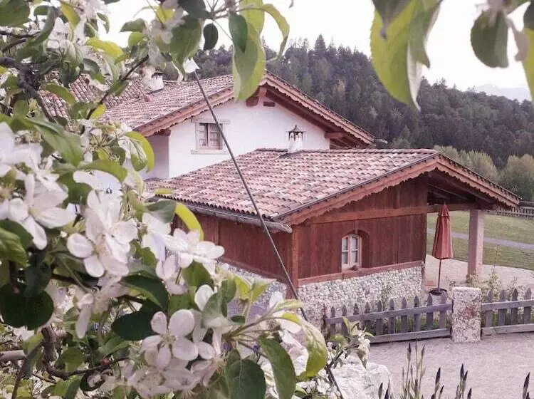 ホテル Agriturismo Alpenvidehof