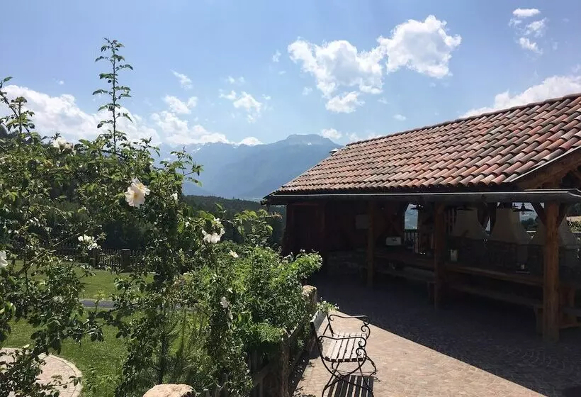 ホテル Agriturismo Alpenvidehof