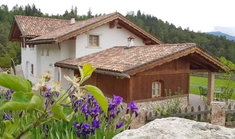 ホテル Agriturismo Alpenvidehof