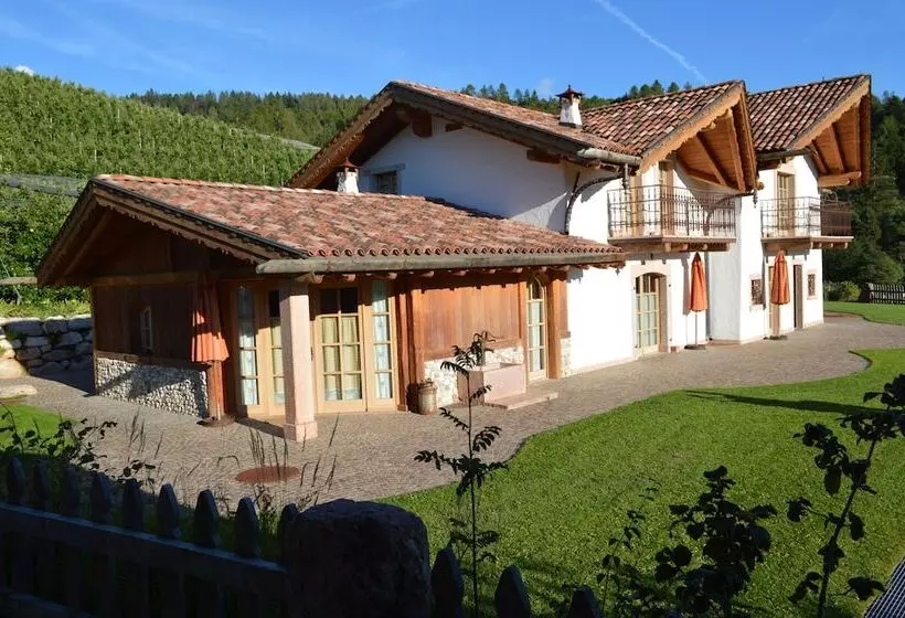 ホテル Agriturismo Alpenvidehof