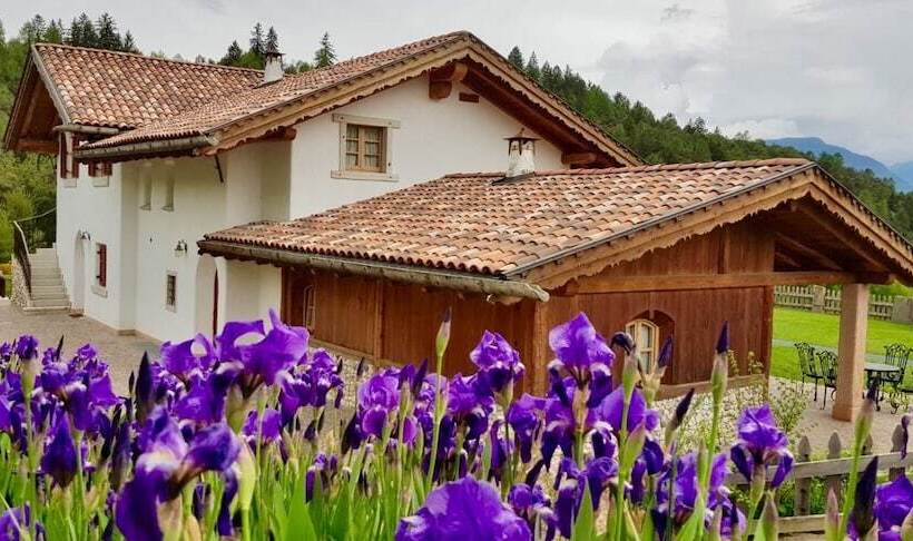 Отель Agriturismo Alpenvidehof