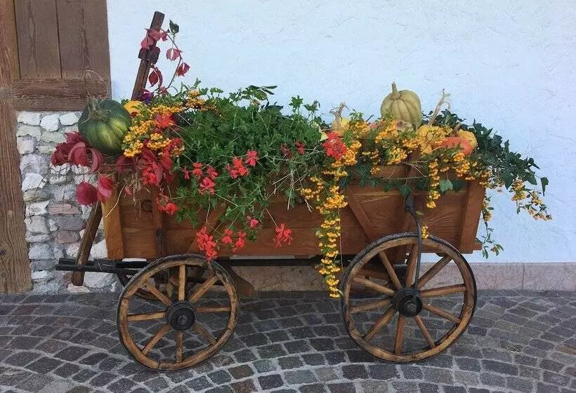 ホテル Agriturismo Alpenvidehof