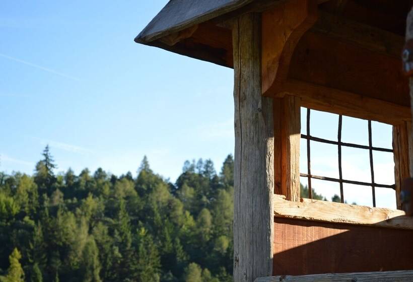 Отель Agriturismo Alpenvidehof