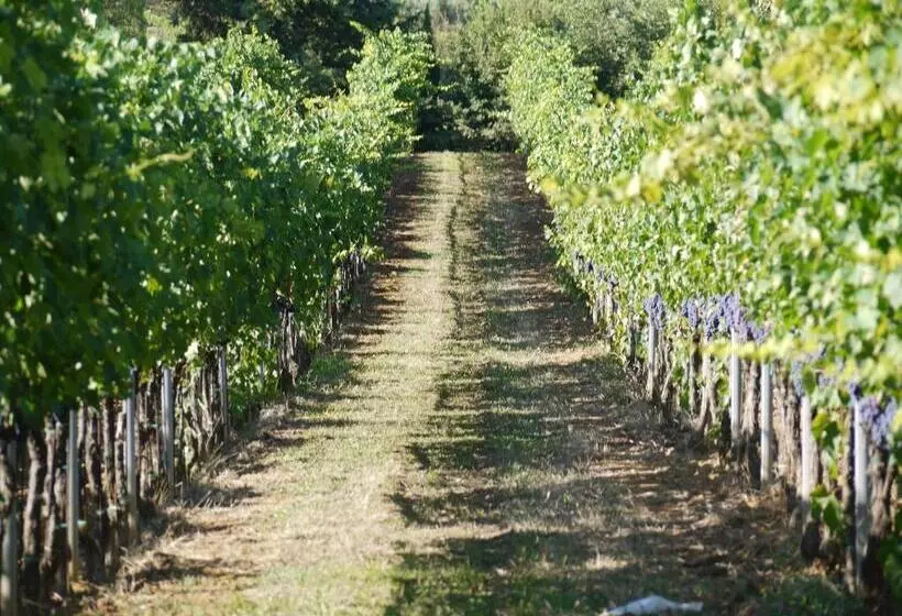 ホテル Azienda Agricola Polveraia