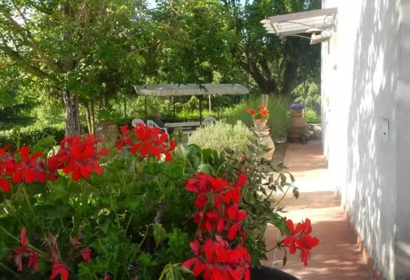 ホテル Azienda Agricola Polveraia