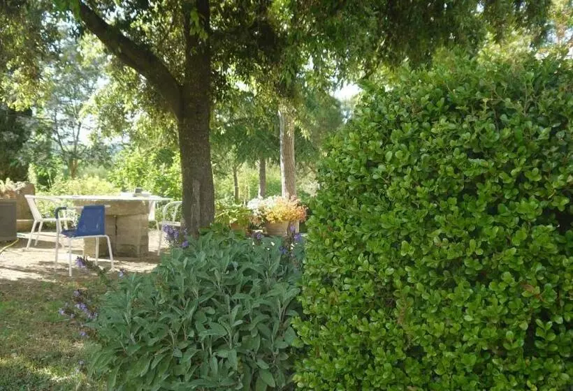 ホテル Azienda Agricola Polveraia
