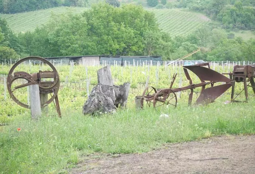 ホテル Azienda Agricola Polveraia
