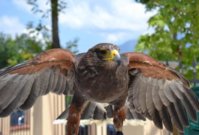 ホテル Azienda Agrituristica La Tenuta Del Falco