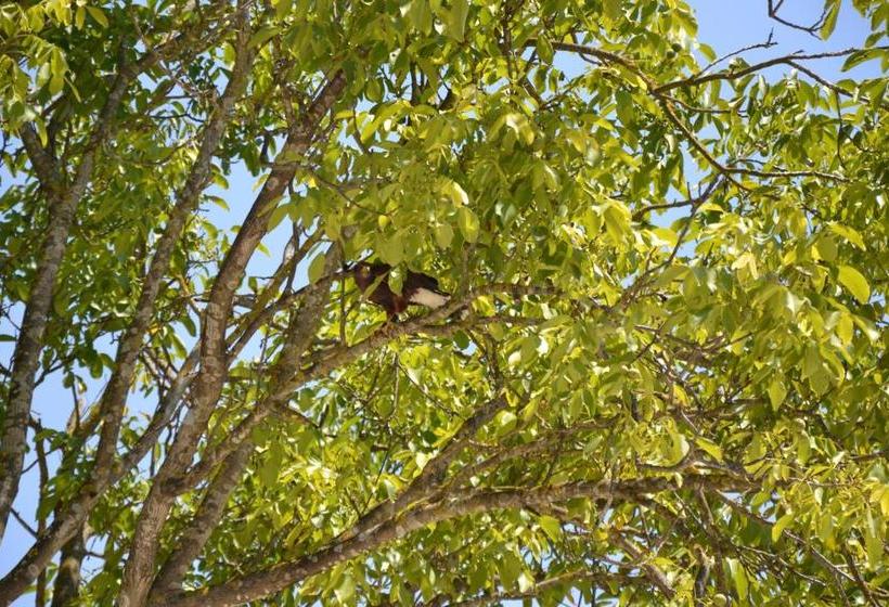 ホテル Azienda Agrituristica La Tenuta Del Falco