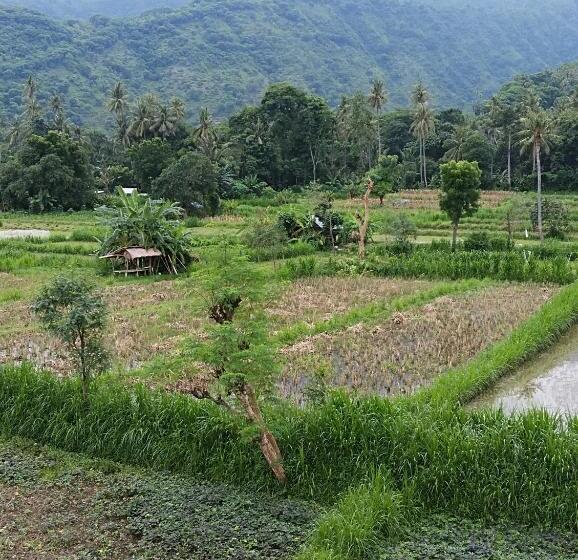 ペンション Amed Stop Inn Homestay, Rooftop Restaurant And Bar