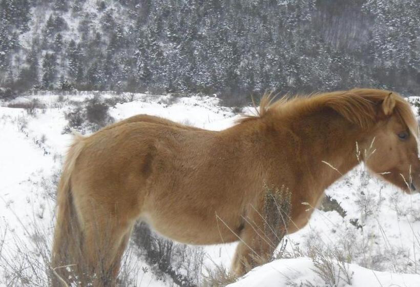 펜션 Fonda Domingo