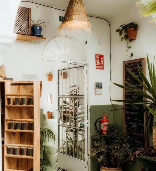 پانسیون Hostal Africa