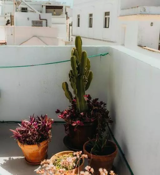 پانسیون Hostal Africa