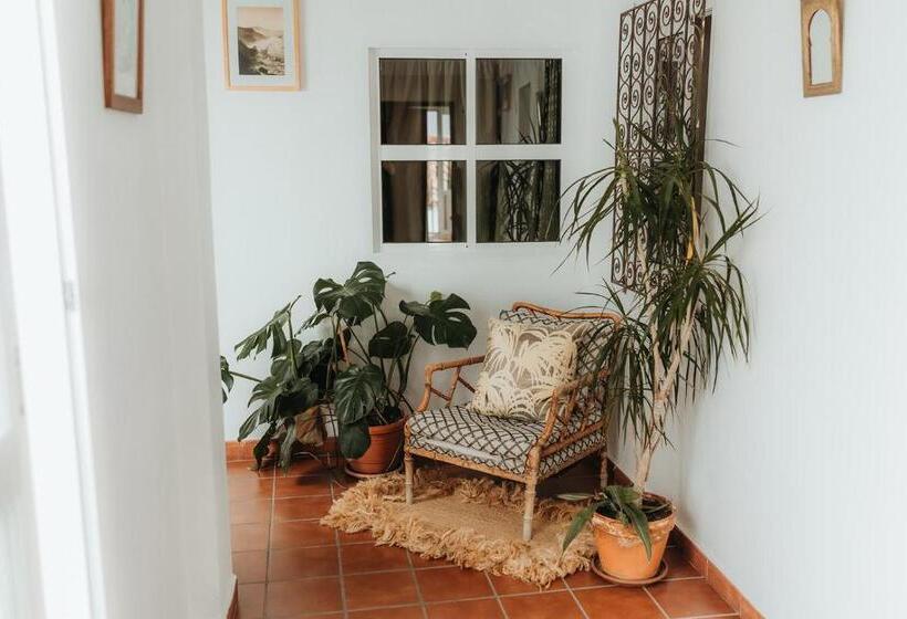 پانسیون Hostal Africa