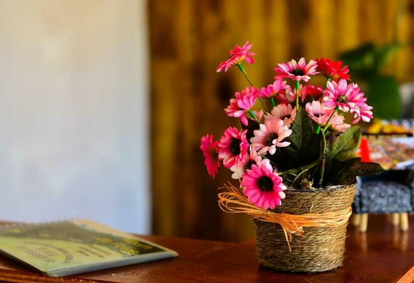 بنسيون Pousada Natureza Da Terra